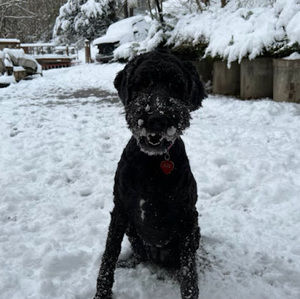 Meet your Posher, Earl